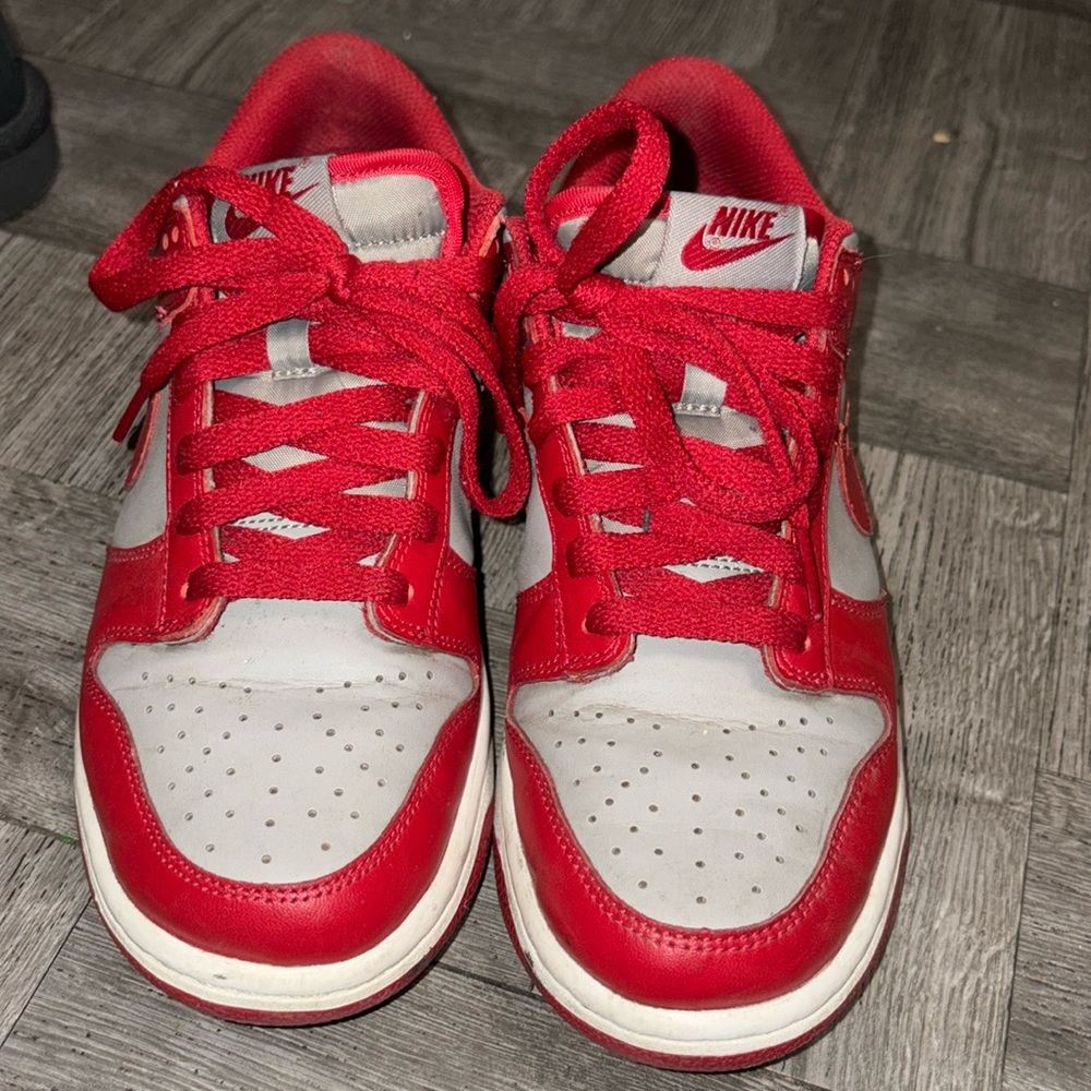 Nike Sb Dunks (youth size) (used) (no box) (size 6.5y)